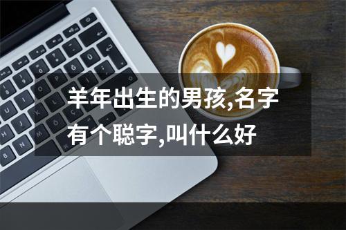 羊年出生的男孩,名字有个聪字,叫什么好