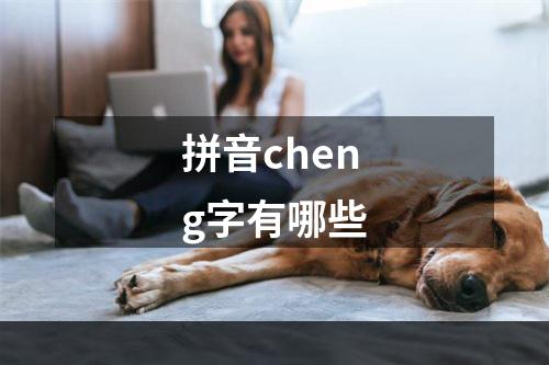 拼音cheng字有哪些