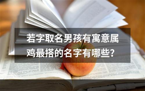 若字取名男孩有寓意属鸡最搭的名字有哪些？