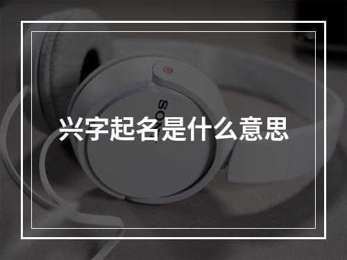 兴字起名是什么意思