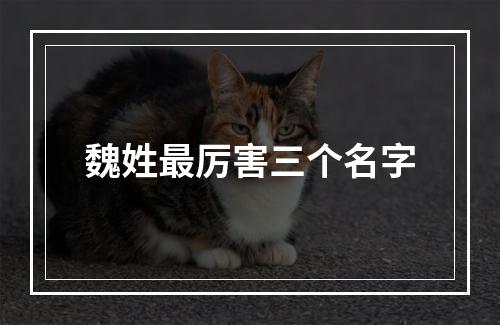 魏姓最厉害三个名字