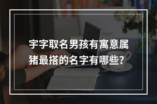 宇字取名男孩有寓意属猪最搭的名字有哪些？