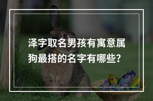 泽字取名男孩有寓意属狗最搭的名字有哪些？