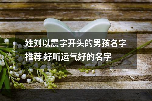 姓刘以震字开头的男孩名字推荐 好听运气好的名字