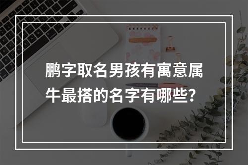 鹏字取名男孩有寓意属牛最搭的名字有哪些？