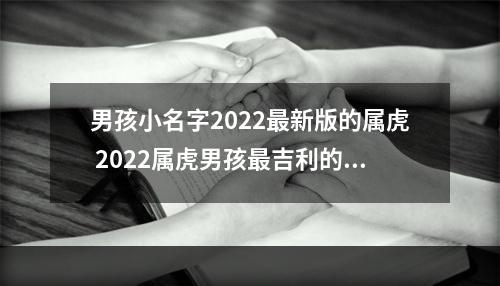 男孩小名字2022最新版的属虎 2022属虎男孩最吉利的小名？