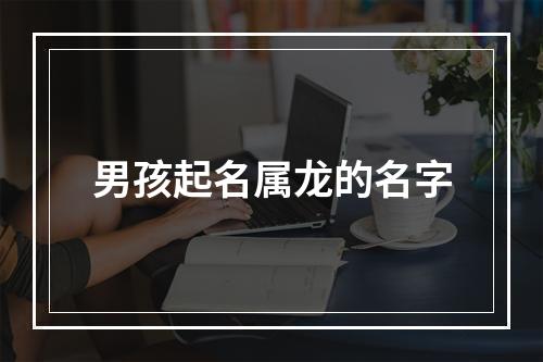 男孩起名属龙的名字