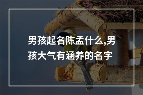 男孩起名陈孟什么,男孩大气有涵养的名字