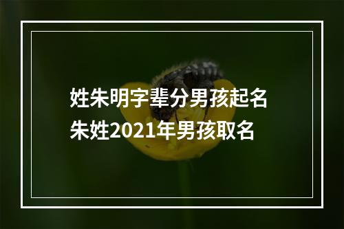 姓朱明字辈分男孩起名 朱姓2021年男孩取名