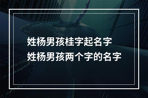 姓杨男孩桂字起名字 姓杨男孩两个字的名字