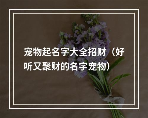 宠物起名字大全招财（好听又聚财的名字宠物）