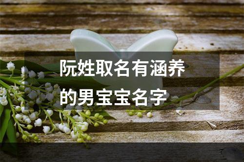 阮姓取名有涵养的男宝宝名字