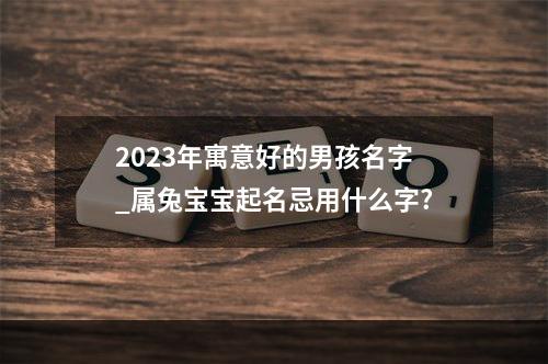 2023年寓意好的男孩名字_属兔宝宝起名忌用什么字?