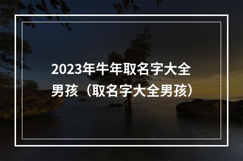 2023年牛年取名字大全男孩（取名字大全男孩）