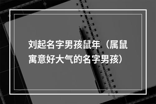 刘起名字男孩鼠年（属鼠寓意好大气的名字男孩）